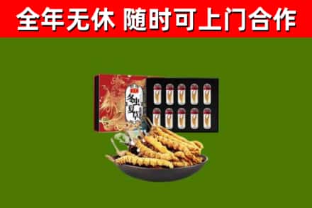 海棠区烟酒回收冬虫夏草礼盒.jpg